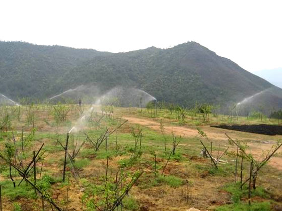 節(jié)水型果園地面灌溉技巧